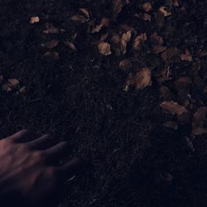 新婚少妇借种HD
