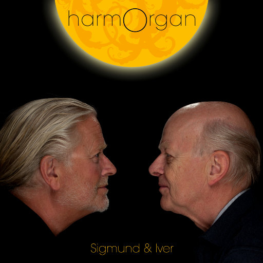 新婚少妇借种HD
